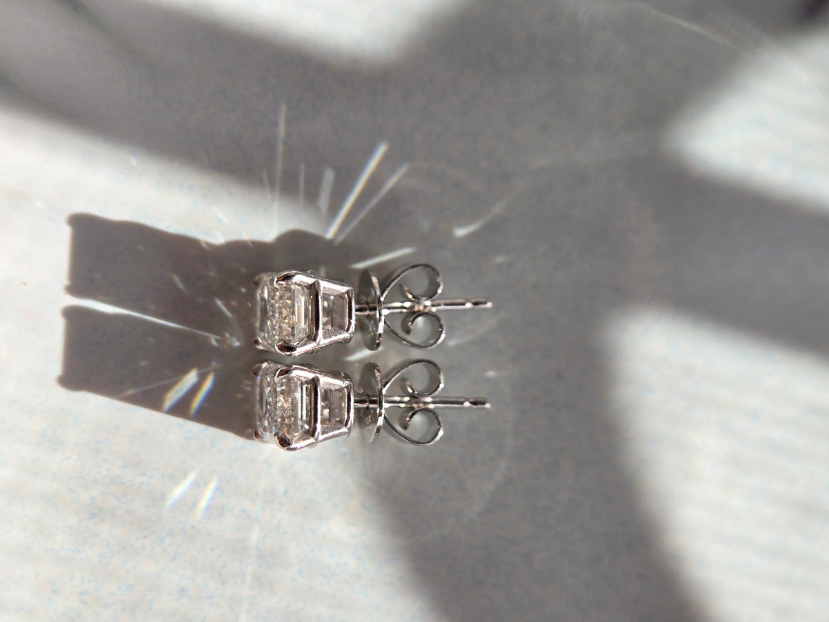 The Solène Duo Curate Your Own
